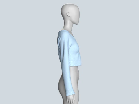 Top curto feminino com gola longa Modelo 3D