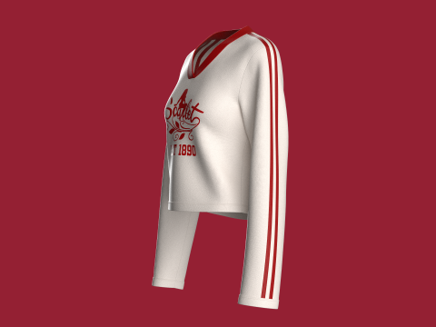 Top feminino estampado com decote em V e patch Modelo 3D