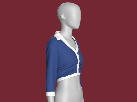 Camisa cropped moda feminina Modelo 3D