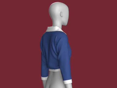Camisa cropped moda feminina Modelo 3D