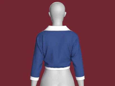 Camisa cropped moda feminina Modelo 3D