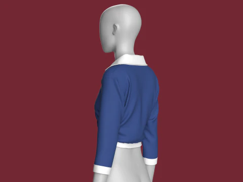 Camisa cropped moda feminina Modelo 3D