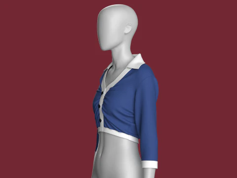 Camisa cropped moda feminina Modelo 3D