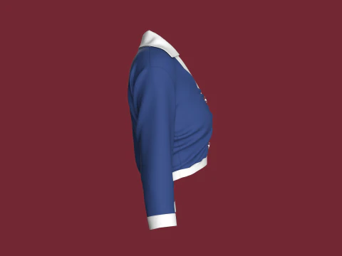Camisa cropped moda feminina Modelo 3D