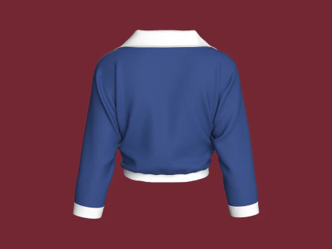 Camisa cropped moda feminina Modelo 3D