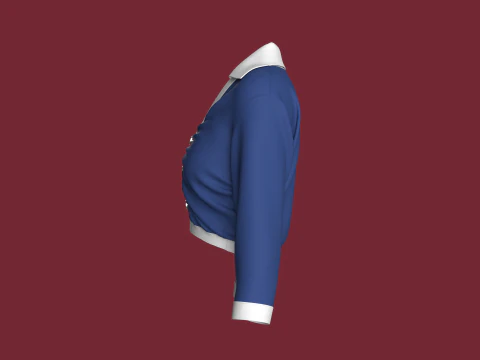 Camisa cropped moda feminina Modelo 3D