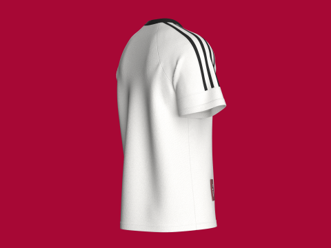 Men Striped Raglan T-Shirt With Patch 3D Model