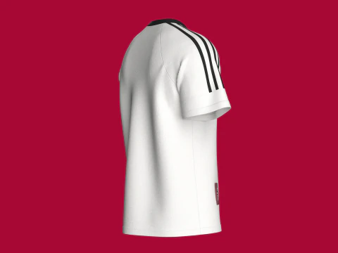 Men Striped Raglan T-Shirt With Patch 3D Model