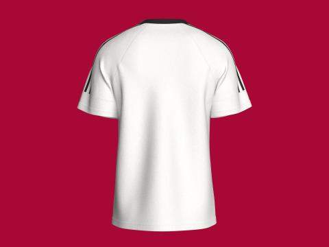 Men Striped Raglan T-Shirt With Patch 3D Model