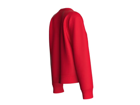 Girls Long Sleeve Printed Sweatshirt With Patch 3D Model