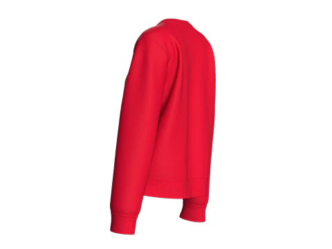 Girls Long Sleeve Printed Sweatshirt With Patch 3D Model