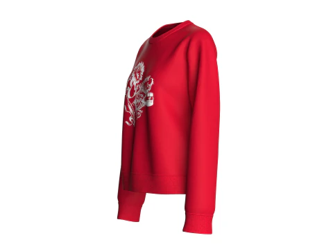 Girls Long Sleeve Printed Sweatshirt With Patch 3D Model