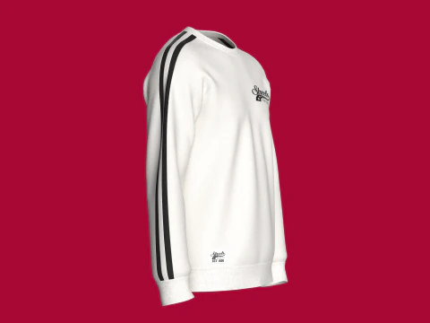 Moletom Masculino Raglan Estampado Com Patch - Streets Modelo 3D