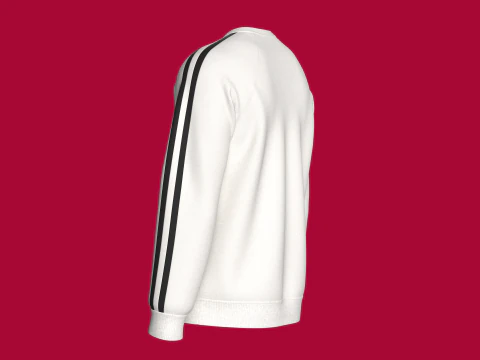 Moletom Masculino Raglan Estampado Com Patch - Streets Modelo 3D