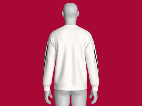 Moletom Masculino Raglan Estampado Com Patch - Streets Modelo 3D