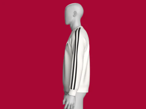 Moletom Masculino Raglan Estampado Com Patch - Streets Modelo 3D