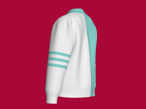 Sweat-shirt imprim&eacute; color block pour enfants Modèle 3D