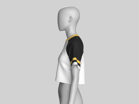Girls Printed Raglan Crop Top 3D Model