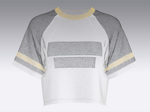 Kız &Ccedil;ocuk Baskılı Raglan Crop Top 3D Model