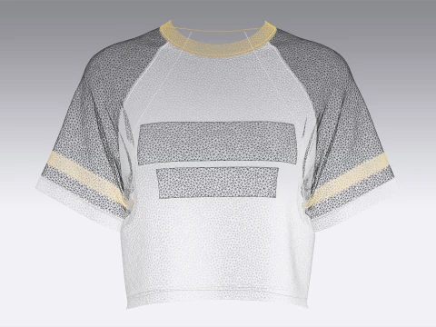 Girls Printed Raglan Crop Top 3D Model