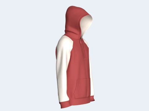 Men 2 Ton Color Block Half-Zip Hoodie 3D Model