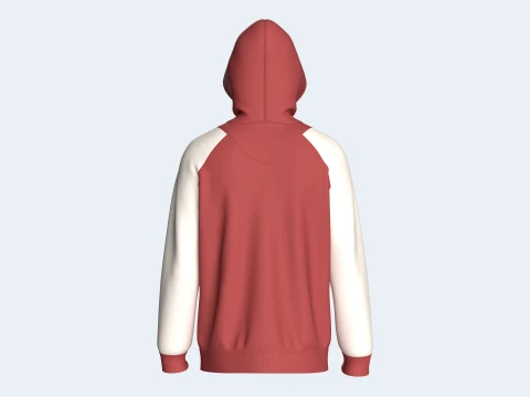 Men 2 Ton Color Block Half-Zip Hoodie 3D Model