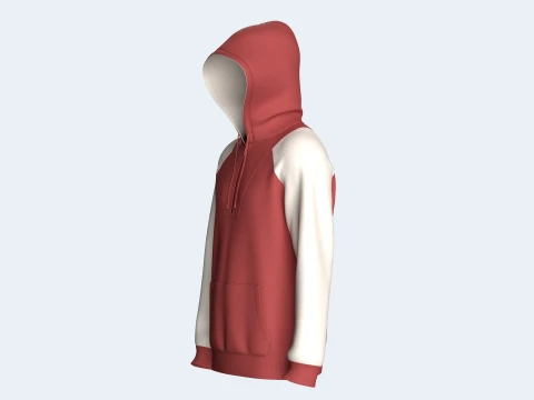Men 2 Ton Color Block Half-Zip Hoodie 3D Model