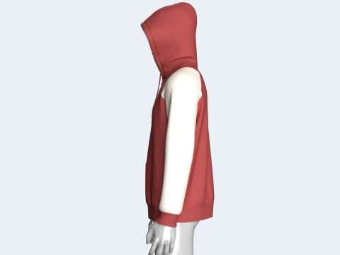 Men 2 Ton Color Block Half-Zip Hoodie 3D Model