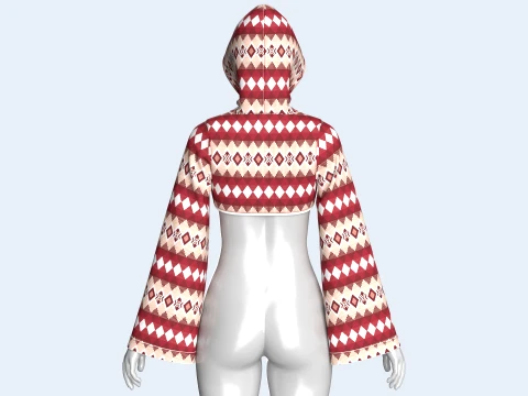Girls Argyle Printed Shrug Hoodie 3D Model