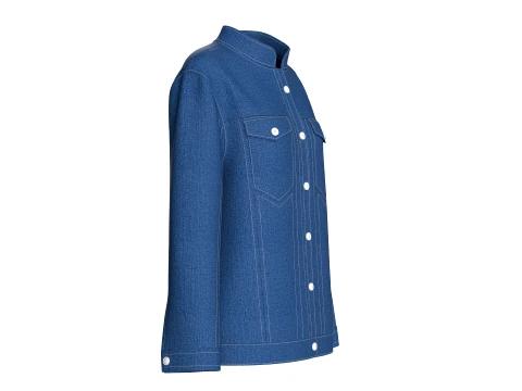 Girls Mandarin Collar Denim Shirt 3D Model