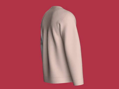 Men Color-Blocked Crewneck Sweatshirt 3D Model