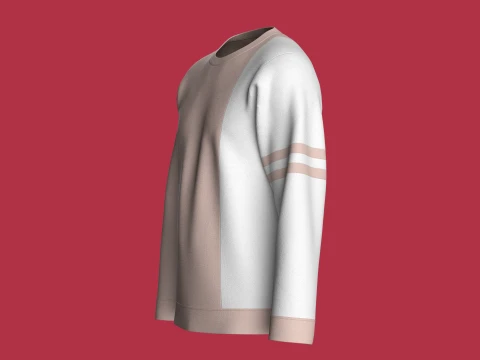 Men Color-Blocked Crewneck Sweatshirt 3D Model