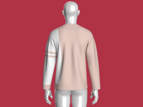 Men Color-Blocked Crewneck Sweatshirt 3D Model