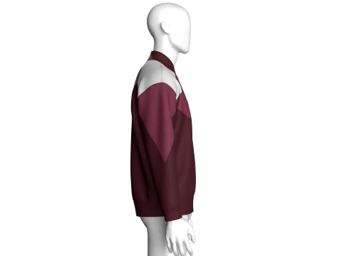 Men Color-Block Track Jacket 3D Model