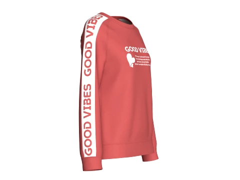 Girls Printed Raglan Sweatshirt With Striped 3D Model