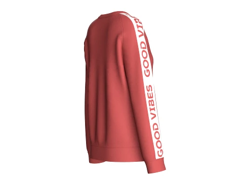 Girls Printed Raglan Sweatshirt With Striped 3D Model