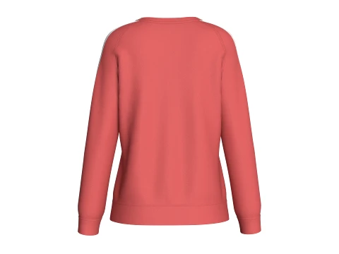 Girls Printed Raglan Sweatshirt With Striped 3D Model