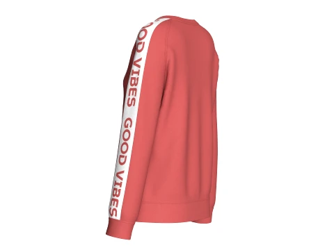 Girls Printed Raglan Sweatshirt With Striped 3D Model