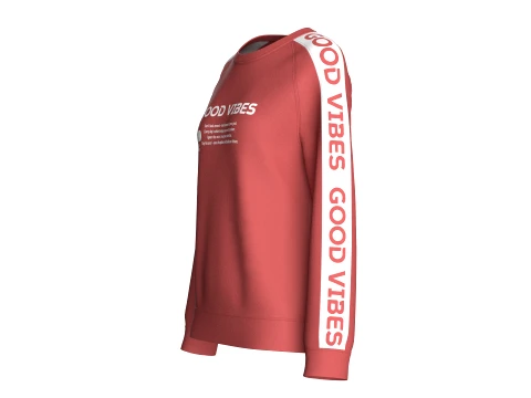 Girls Printed Raglan Sweatshirt With Striped 3D Model