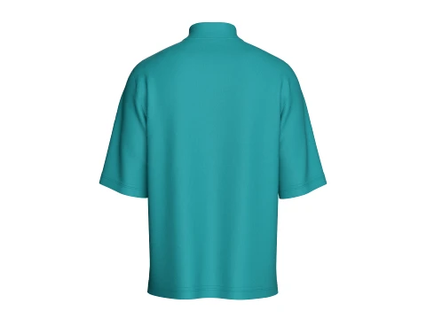Men Printed Tshirt With 3-Button Placket 3D Model