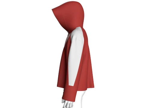 Men Color-Blocked Hooded Jacket 3D Model