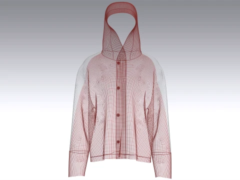 Men Color-Blocked Hooded Jacket 3D Model