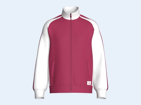 Veste color-block à manches raglan pour hommes Modèle 3D