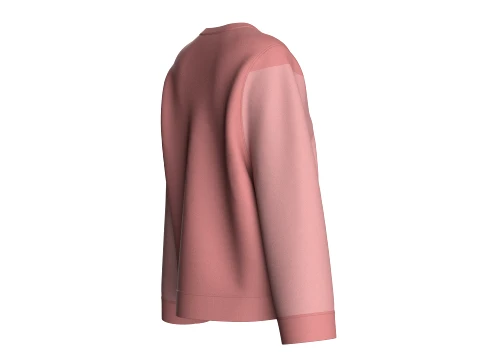 Girls Color-Blocked Crew Neck Sweatshirt 3D Model