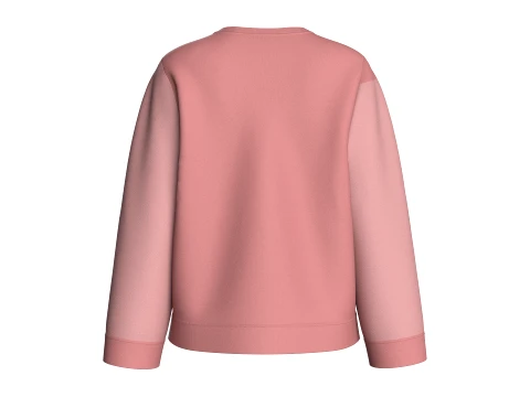 Girls Color-Blocked Crew Neck Sweatshirt 3D Model