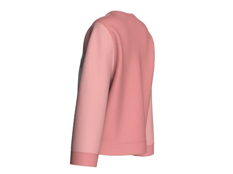 Girls Color-Blocked Crew Neck Sweatshirt 3D Model