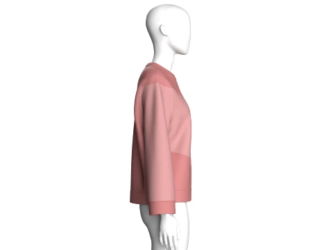 Girls Color-Blocked Crew Neck Sweatshirt 3D Model