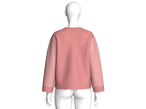 Girls Color-Blocked Crew Neck Sweatshirt 3D Model