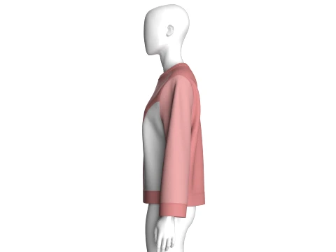 Girls Color-Blocked Crew Neck Sweatshirt 3D Model