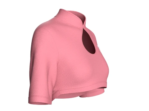 Girls Mandarin Collar Keyhole Cut-Out Cropped Top 3D Model